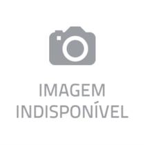 Acelera Pólis - Guia Prático Para Desenvolvimento Econômico E Social