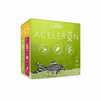 Aceleron Induspharma Neutralizador de Amônia 6 Ampolas 10ml Aceleron Induspharma Neutralizador de Amônia 6 Ampolas 10ml