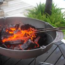 Acendedor Elétrico Para Churrasqueiras Lareiras + Espalhador De Carvão Brasa