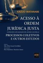 Acesso à ordem jurídica justa: processo coletivos e outros estudos