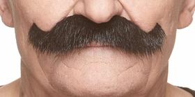 Acessório de fantasia: bigodes, autoadesivo, bigode falso Acessório de fantasia: bigodes, autoadesivo, bigode falso