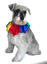 Acessório pet pierrô