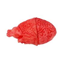 Acessórios De Festa De Halloween: Cérebro Humano Falso, Mão, Dedo, Perna, Pé E Coração Sangrentos Acessórios De Festa De Halloween: Cérebro Humano Falso, Mão, Dedo, Perna, Pé E Coração Sangrentos