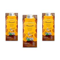 Achocolatado Vegano Choconuts A Tal Da Castanha Kit 3 Unid