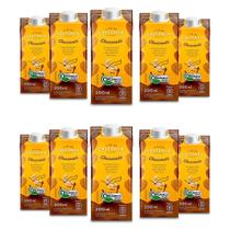 Achocolatado Vegano Choconuts A Tal Da Castanha Kit Com 10