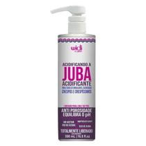 Acidificando A Juba Acidificante 500ml - Widi Care