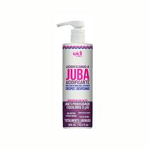 Acidificante Widi Care Acidificando A Juba 500ml Acidificante Widi Care Acidificando A Juba 500ml