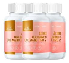 Acido Hialuronico Colágeno Tipo 2 3 frascos de 100 cápsulas 500 mg cartilagem pele 300 cápsulas
