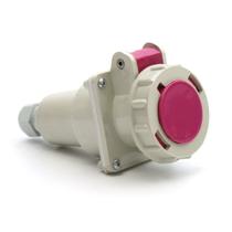 Acoplamento Industrial 2H 32A 3 (2P+T) 24V Strahl IP67