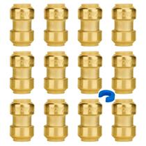Acoplamento Push Pex SUNGATOR 3/4" - Pacote com 12 Unidades com Clipe