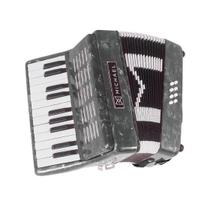 Acordeon 8 baixos 22 teclas michael acm0822 com bag Acordeon 8 baixos 22 teclas michael acm0822 com bag