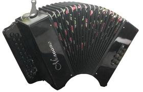 Acordeon 8 Baixos Minuano 8/21 All Black Fole Floral Percaline