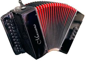 Acordeon 8 Baixos Minuano 8/21 All Black ( Gaita De Botão )