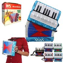 Acordeon Sanfona Gaita Infantil 8 Baixos 17 Teclas Brinquedo