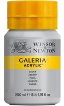 Acrílica Galeria Winsor & Newton 617 Silver 250ml Acrílica Galeria Winsor & Newton 617 Silver 250ml