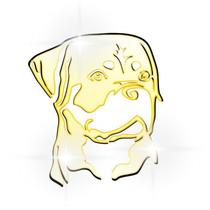 Acrílico Decorativo Espelhado Cachorro Boxer Dourado