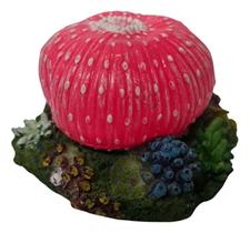 Action mini ascidea rosa soma 059122