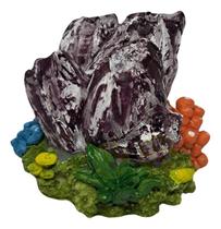 Action mini craca do mar soma 059124 Action mini craca do mar soma 059124