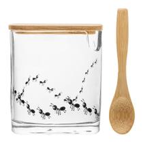 Açucareiro Tampa e Colher Bambu New Bug Lyor 8cmx9,5cm Vidro Açucareiro Tampa e Colher Bambu New Bug Lyor 8cmx9,5cm Vidro