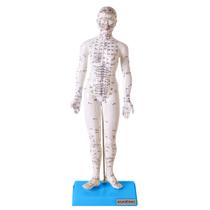 Acupuntura Modelo Feminino 50 Cm Emborrachado