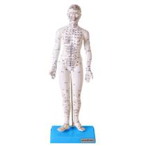 Acupuntura Modelo Feminino 50 Cm Emborrachado