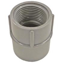 Adaptador fêmea de PVC Cantex 1-1/4" Schedule 40, Lote 12