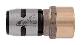 Adaptador SharkBite EvoPex Push 1/2 pol. x 1/2 pol. FNPT