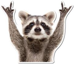 Adesivo ArkWisdom Rocking Raccoon Car Laptop Wall Window Adesivo ArkWisdom Rocking Raccoon Car Laptop Wall Window