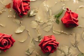 Adesivo Cabeceira de Cama Capitonê Rolo Papel de Parede Autocolante 1m x 58cm BN 03