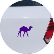 Adesivo de Carro Camelo Caminhando - Cor Roxo