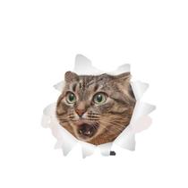 Adesivo de Parede 3d com Gato Decalques de Vinil Decorativo