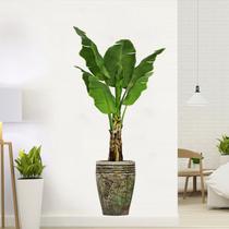 Adesivo de parede Green Plant para decoração de sala de estar e quarto Adesivo de parede Green Plant para decoração de sala de estar e quarto