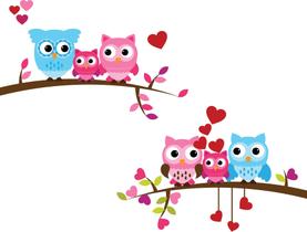 Adesivo de Parede Infantil Quarto Menina Galho Coruja