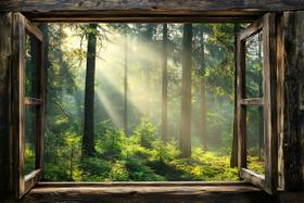 Adesivo de parede WOOHOOROO 3D Fake Window Sunshine Forest 80x120cm