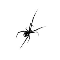 Adesivo De Tatuagem Temporária De Aranha Realista, Duradouro De 1 a 2 Semanas, Tatuagem Falsa De
