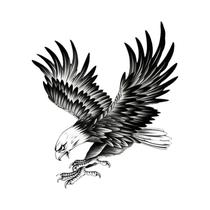 Adesivo De Tatuagem Temporária Impermeável E Duradouro De Águia Para Homens E Mulheres Para Braço E