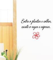 Adesivo Decorativo de Parede Sala Frase Entre o Plantar e Colher