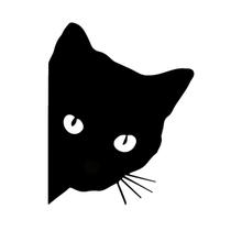 Adesivo Decorativo Gato Misterioso Carro / Moveis - 01pç