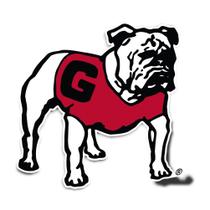 Adesivo Desert Cactus University of Georgia Bulldogs UGA Dawgs