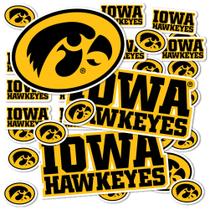 Adesivo Desert Cactus University of Iowa Iowa Hawkeyes Vinyl