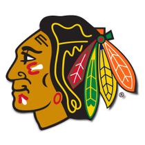 Adesivo em vinil Desert Cactus Chicago Blackhawks NHL