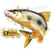 Adesivo Peixes EP Fishing Pequeno (aproximadamente 15x12cm) Adesivo Peixes EP Fishing Pequeno (aproximadamente 15x12cm)