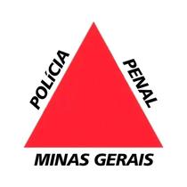 Adesivo Resinado Bandeira Polícia Penal MG 9x25cm Adesivo Resinado Bandeira Polícia Penal MG 9x25cm