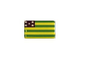 Adesivo Resinado Da Bandeira De Goiás 9X6 Cm