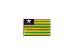 Adesivo Resinado Da Bandeira Do Piauí 9X6 Cm
