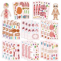 Adesivos, anatomia humana, desenho animado, diagrama de órgão, 50 unidades Adesivos, anatomia humana, desenho animado, diagrama de órgão, 50 unidades