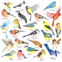Adesivos de parede DECOWALL DS4-8063 25 Little Birds removíveis