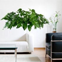 Adesivos de parede Tropical Green Leaves Monstera 29x60cm PVC
