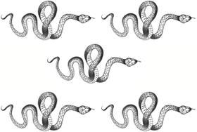 Adesivos de tatuagem temporários Yeahgoshopping Black Snake, pacote com 5 Adesivos de tatuagem temporários Yeahgoshopping Black Snake, pacote com 5
