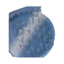 Adesivos De Unha 5D Para Verão E Praia: Conchas Douradas, Búzios, Baleias, Estrelas, Vieiras E